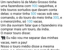 O novo touro no rancho. No rancho haviam 3 touros... em um belo dia ouviram o rancheiro falar que iria comprar mais um touro....