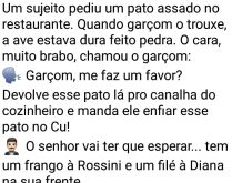 Cliente bravo com o cozinheiro.... O cliente pede um pato assado no restaurante, quando o garçom o trouxe, a ave estava dura feito uma pedra..