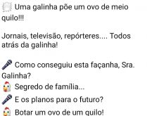 Galinha botadeira. Uma galinha põe um ovo de meio quilo! Jornais, televisão, repórteres... todos atrás da galinha....
