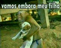 Aqui tem muita pornografia. Macaco segurando um cão pedindo ele pra ir embora, por que tem muita pornografia kkkkk.