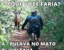 O que você faria?. Nessa situação o que você faria?.