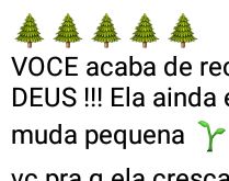 Você acaba de receber a árvo.... Ela ainda é apenas uma muda pequena, mas depende de você....