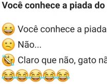 Você conhece a piada do gato?. Será que você conhece a piada do gato? Compartilhe com seus amigos..