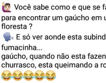Como encontrar um gaúcho em u.... Numa conversa entre dois amigos um pergunta pro outro como se faz pra encontrar um gaúcho numa floresta..