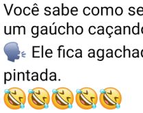 Como reconhecer um gaúcho ca�.... Você sabe como fazer para reconhecer um gaúcho caçando onça?.